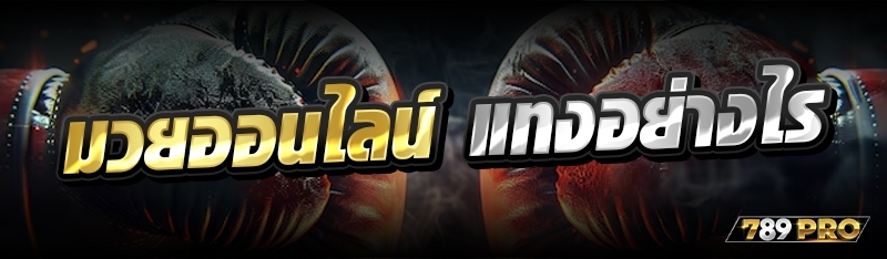 มวยออนไลน์ แทงอย่างไร 