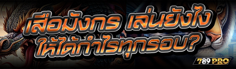 เสือมังกร เล่นยังไง ให้ได้กำไรทุกรอบ?