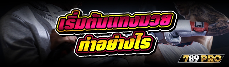 เริ่มต้นแทงมวย ทำอย่างไร