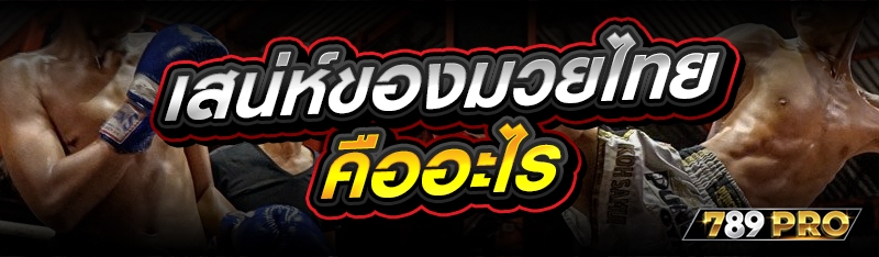 เสน่ห์ของมวยไทย คืออะไร