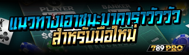 แนวทางเอาชนะบาคาร่าวัววัว สำหรับมือใหม่